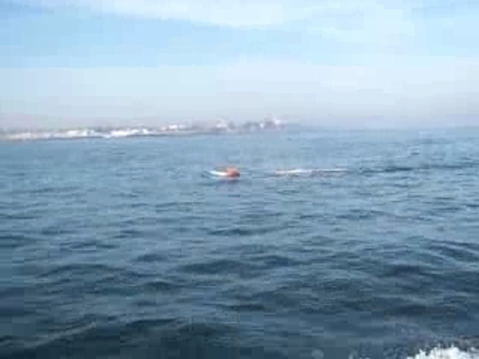100_1351