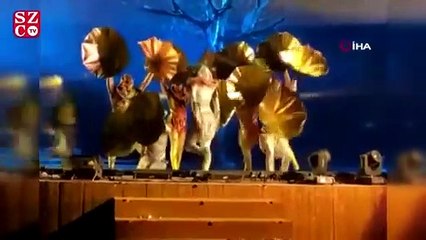 Suudi Arabistan'da sahnede 4 sanatçıyı bıçaklayan saldırgan idam cezasını çarptırıldı