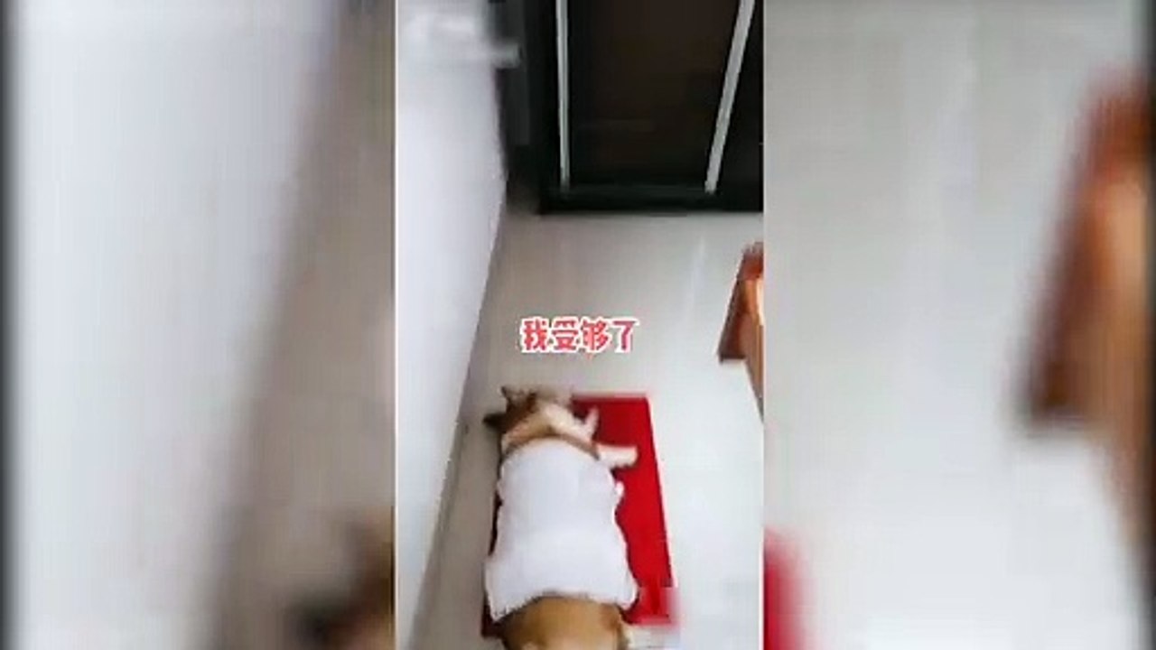 豪言壮志抵不住现实的mbx打击