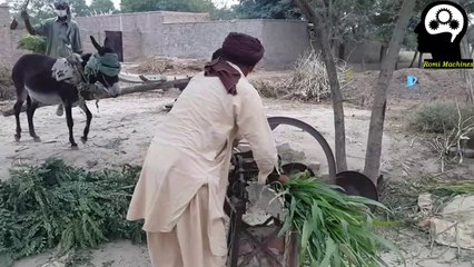 Chaff Cutter With Different Animal | Gear toka machine