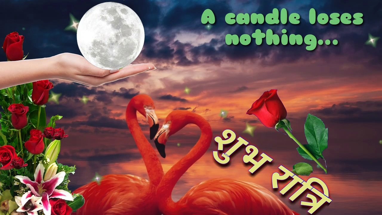 Good Night video || Good Night wishes
