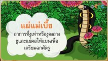 เกือบไป - สื่อการเรียนการสอน ภาษาไทย ป.1