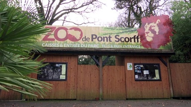 Купить зоопарк и освободить животных