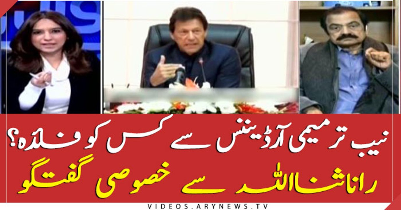 Rana Sanaullah sheds light on NAB Amendment Ordinance