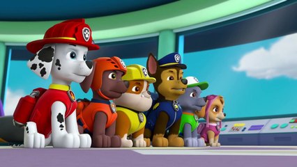 PAW Patrol   Pups Save a Kangaroo   Rescue Episode   PAW Patrol Official & Friends