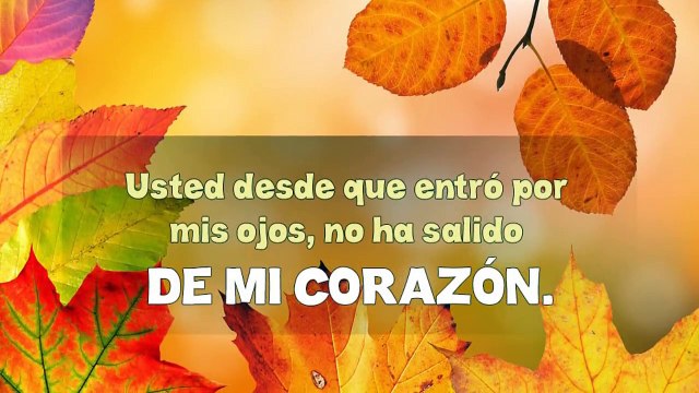 Bonitas Palabras de Amor ♥ Frases Bellas ♥ Románticas ♥♥
