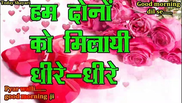 Good morning shayari | Good morning shayari image | Good morning shayari photo | Good morning shayari video | Good morning shayari hindi | Good morning shayari whatsapp status