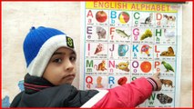 a for apple b for ball,Abcd phonics song for kids | a for apple b for ball | abcd english alphabet song|Abcd chart video, a for apple b for ball c for cat d for dog, apple ball cat dog elephant fish gorilla hat, a for apple b for badka apple, a for apple
