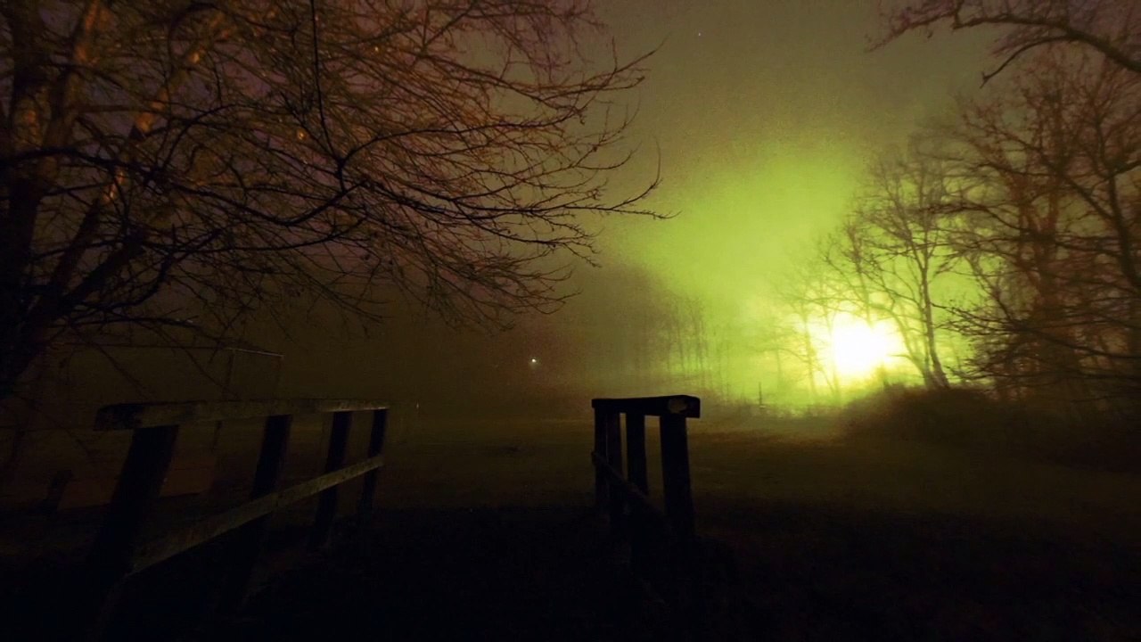 NIGHT IN A FOREST - Relaxing evening woods - Relax insects in nature -  Locust , cicada cricket wald غابة 森林 숲 bosque forêt floresta лес वन hutan ਜੰਗਲ foresta alas Bos orman বন। জংগল  Nacht ليل 晚 밤 noche nuit 夜 noite ночь रात malam رات notte wengi nacht