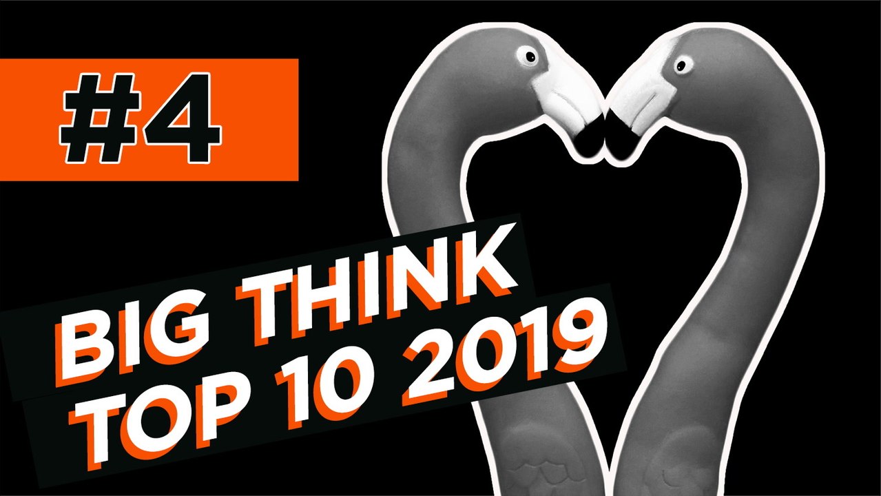 #4: What makes someone gay? Science is trying to get it straight. | Top 10 2019