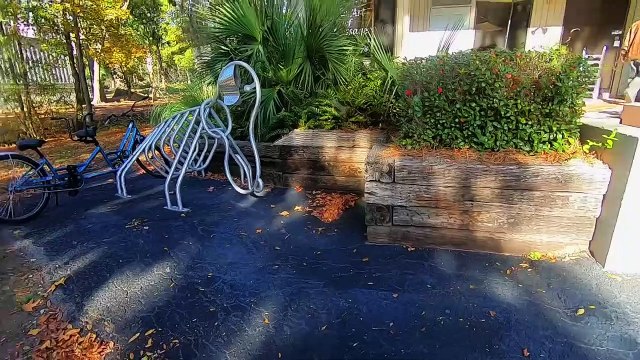 Vlogmas Day 14- We Don't Know Where to Go from here