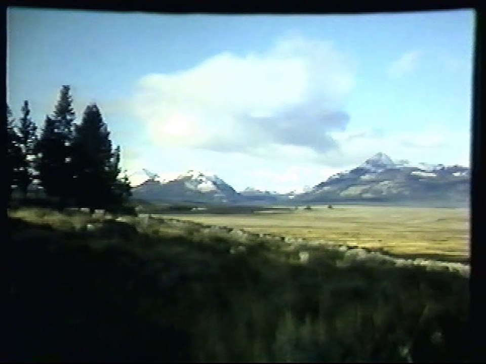 Wapiti Creek - The Story of the American Elk Part 3