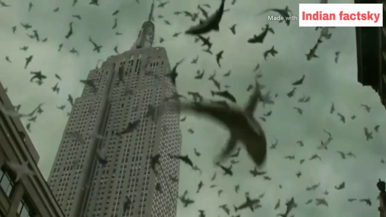 मछलियों की बारिश क्या सच में होता है ? | FISH RAIN FROM SKY - True or false,#fishraining