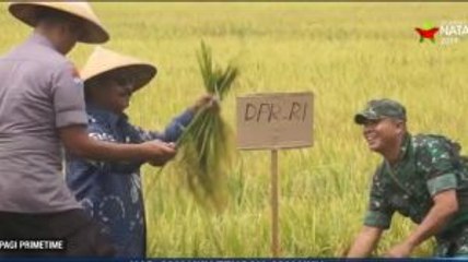 Anggota DPR Fraksi NasDem Serap Aspirasi Warga Maluku