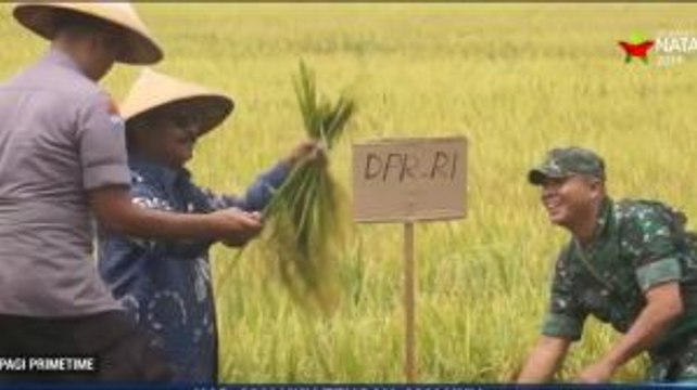 Anggota DPR Fraksi NasDem Serap Aspirasi Warga Maluku