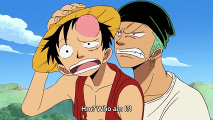 one piece luffy loses his memory funny