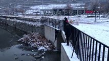 Kars çayı'na düşen köpeği kurtarma seferberliği