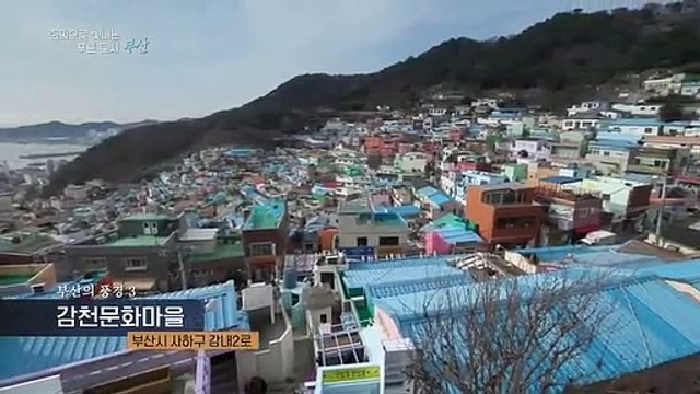 [UHD 다큐 풍경] 희망으로 빛나는 푸른 도시…부산