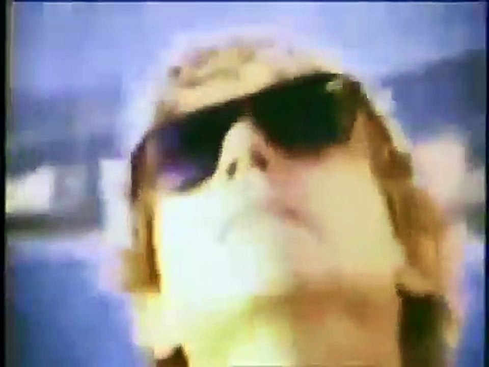 Everyone Stares Trailer