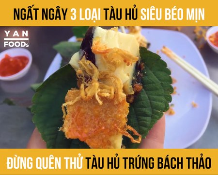 NGẤT NGÂY 3 LOẠI TÀU HỦ SIÊU BÉO MỊN ĐỪNG QUÊN THỬ TÀU HỦ TRỨNG BÁCH THẢO II YANNEWS