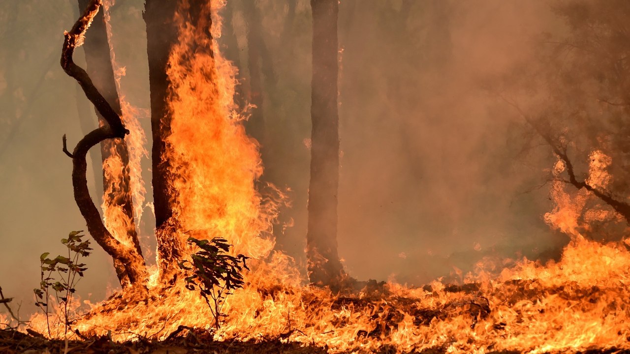 Australian bushfires: Catastrophic conditions across south