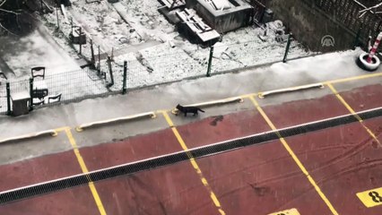 Kar yağışı - KONYA