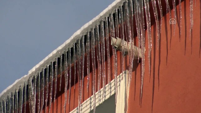 Doğu'da kar yağışı ve soğuk hava etkili oluyor - Yiyecek arayan tilki - KARS