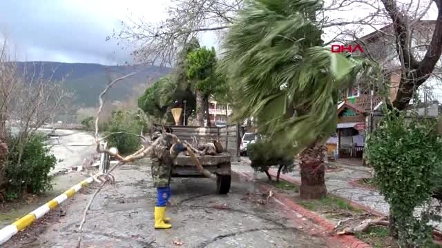 Balıkesir marmara adası'ndaki elektrik kesintisi sürüyor-6
