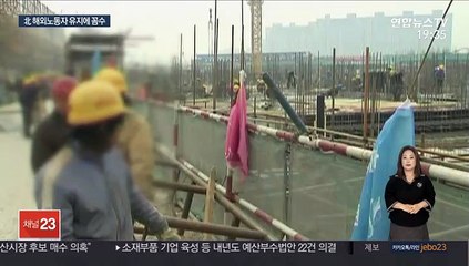 北, 노동자제재 회피 몸무림…"中러에 '꼼수' 파견"