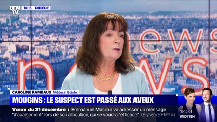 Mouguins : le suspect est passé aux aveux (2) - 30/12