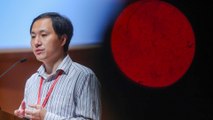 Chinese scientist He Jiankui involved in gene-edited babies jailed for three years