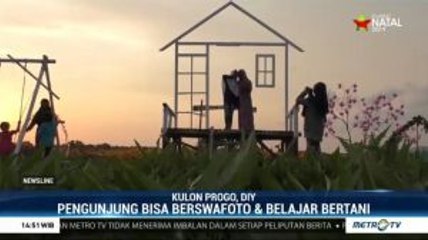 Area Persawahan Disulap Jadi Obyek Wisata