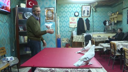 Terör gazisinin güvercin sevgisi soğuk dinlemiyor (2) - ERZURUM