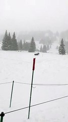 Moose Moves Quickly Through Thick Snow