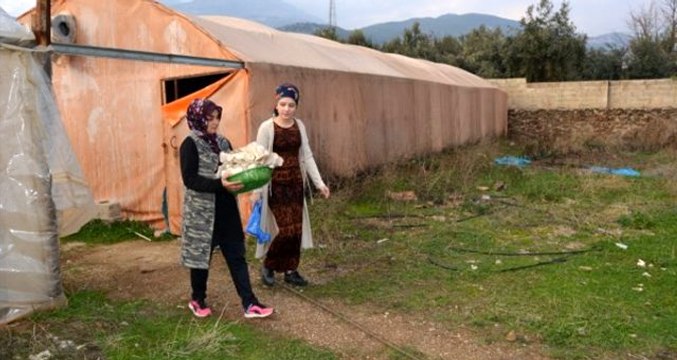 Devlet desteğiyle kurduğu mantar tesisiyle kendi işinin patronu oldu