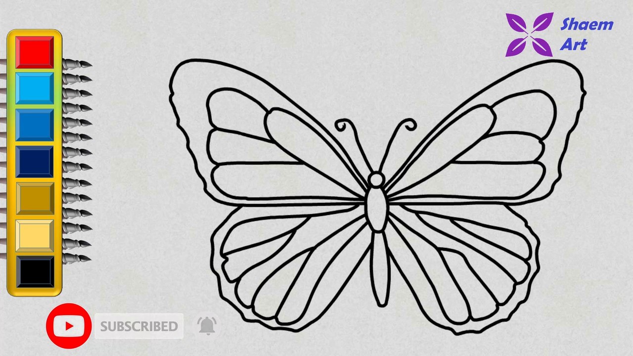 How to Draw a Butterfly for Beginners || Shaem Art