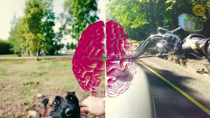 Apa yang Akan Terjadi Jika Kita Berhenti Bermimpi