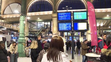 Residents and tourists in Paris react to 25 days of strikes