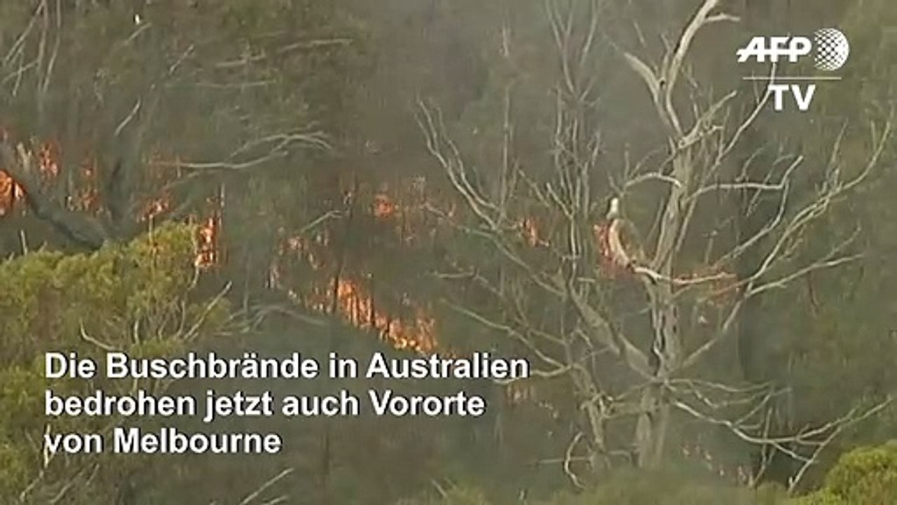 Buschbrände in Australien bedrohen Melbourne