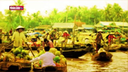 Về Đất Mũi bắt cá thòi lòi