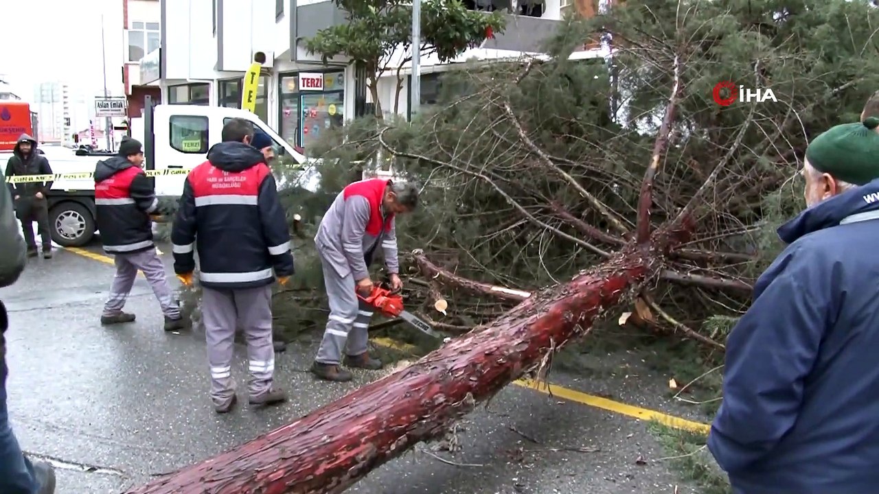 İstanbul’da Şiddetli Fırtına Ağaçları Devirdi
