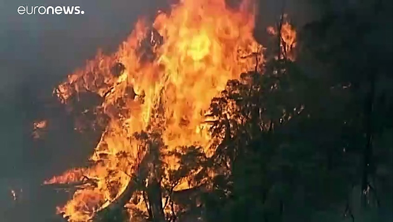 Incêndios incontroláveis na Austrália