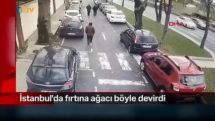 İstanbul'da fırtına kabusu ! Ağaç, insanların üzerine devrildi