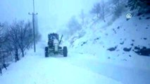 Aydın Büyükşehir Belediyesi, kar yağışı nedeniyle tuzlama çalışması yaptı - AYDIN