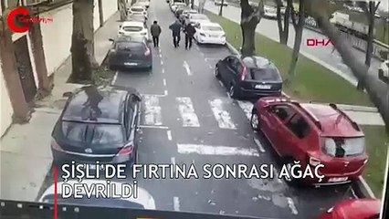 Şişli'de ağaç yoldaki insanların üstüne böyle devrildi