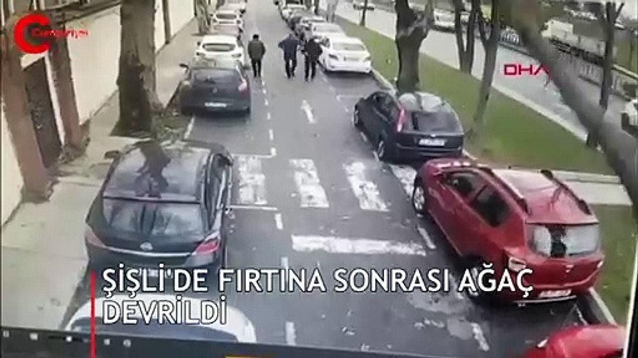 Şişli'de ağaç yoldaki insanların üstüne böyle devrildi