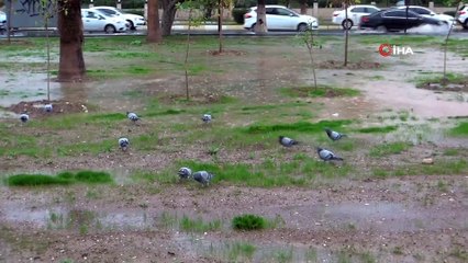 Kent merkezinde yağmur, yüksek kesimlerde kar yağışı