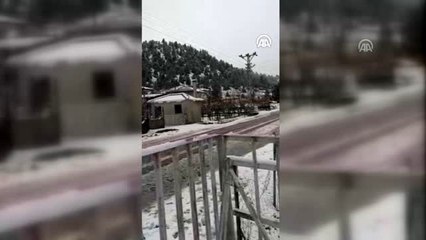 Yaylada karda bulduğu köpek ve 6 yavrusuna sahip çıktı