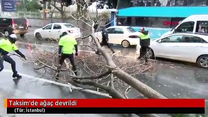 Taksim'de ağaç devrildi