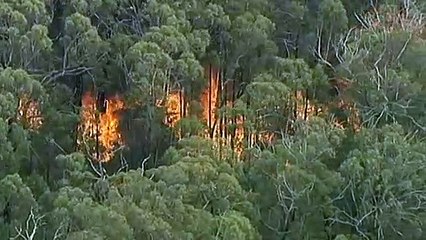 La ola de calor aviva el fuego en Australia y las llamas alcanzan Melbourne